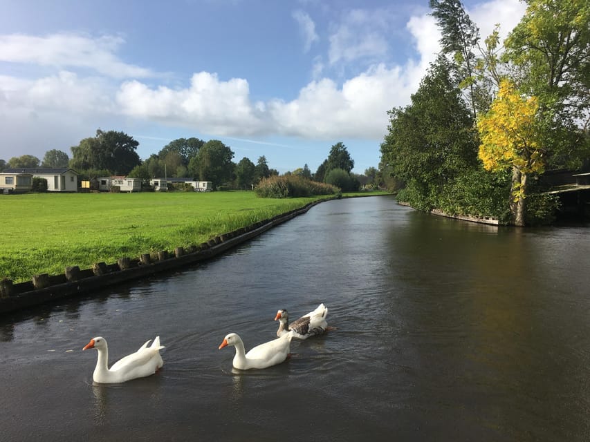Amsterdam: Zaanse Schans and Giethoorn Day Trip with Cruise - Timing, Photo Strategy, and When Lunch Actually Fits