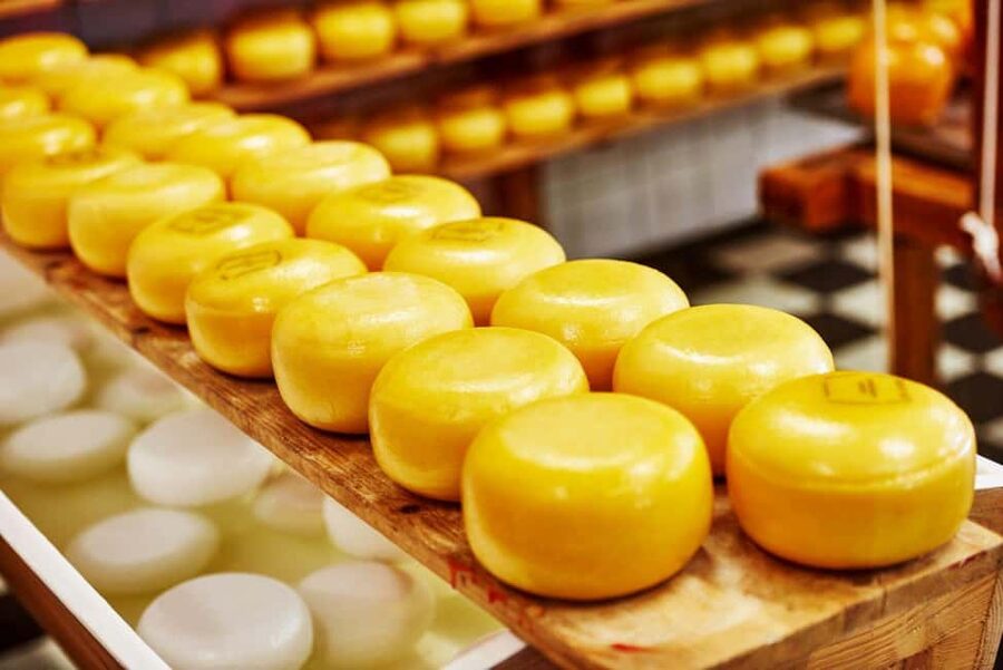 Amsterdam: Zaanse Schans, Cheese Tasting & Volendam Tour - Price and value: what $20 buys you (and why it’s a smart “starter” trip)