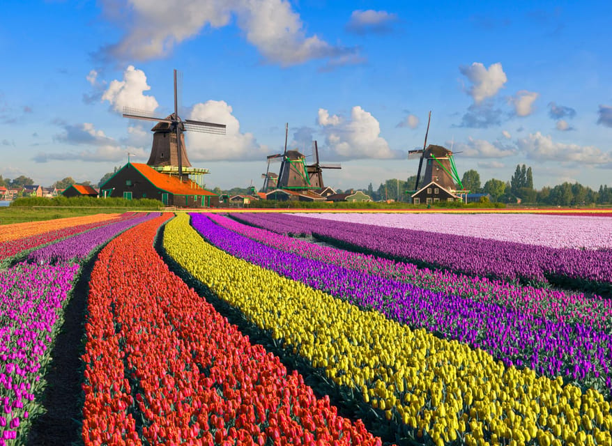 Amsterdam: Zaanse Schans, The Hague & Rotterdam Tour - One 11-hour day: how the route really works