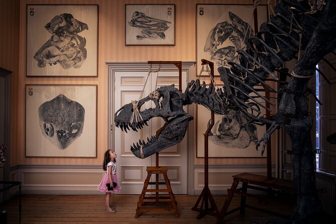 Art Zoo Museum Amsterdam Tickets - Key things that make this ticket worth your time