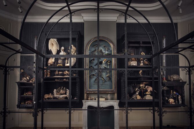 Art Zoo Museum Amsterdam Tickets - Families with small kids: when Art Zoo works really well