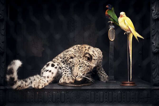 Art Zoo Museum Amsterdam Tickets - Value check: is $21.12 for 90 minutes a smart buy?