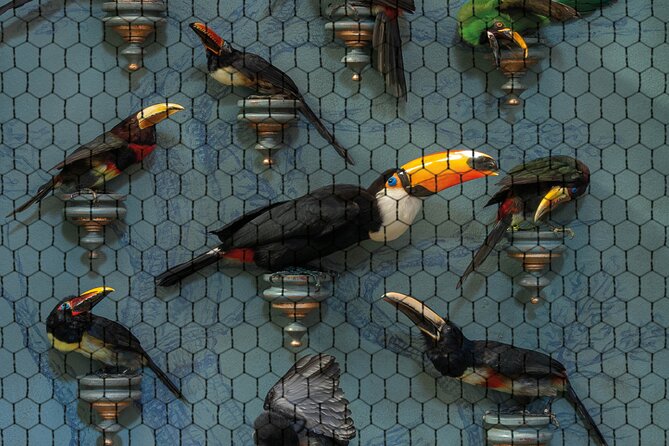 Art Zoo Museum Amsterdam Tickets - Who should book this Art Zoo Museum ticket
