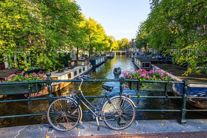 Best of Amsterdam: small-group walking tour (TOP RATED) - Key things to know before you go