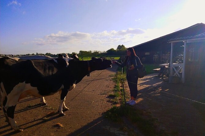 Best of Dutch Countryside: Giethoorn, Windmills, Secret Villages - Catharina Hoeve Cheese Farm: How Cheese Gets Made (Then You Taste 25+)