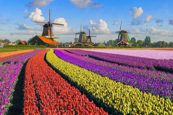 Best of Netherlands: Zaanse Schans Mills, The Hague & Rotterdam - Who should book—and who should skip this day trip
