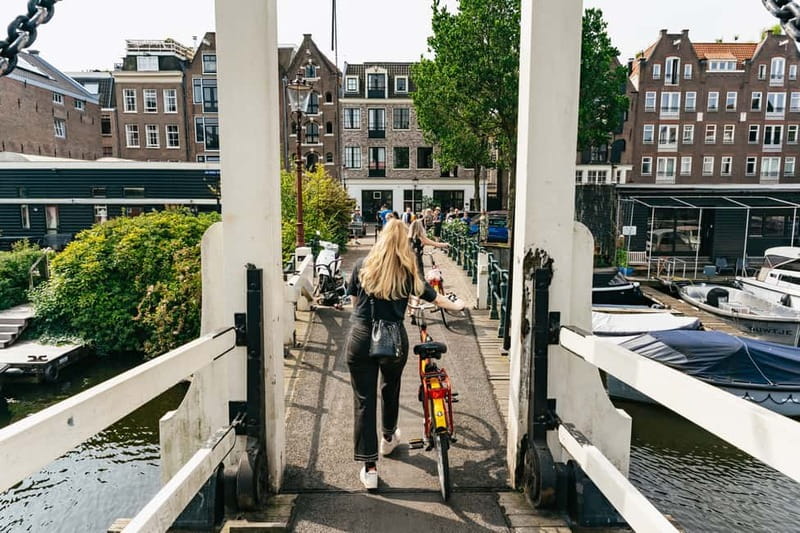Big Bike tour Amsterdam - See all in 3 unforgettable hours - Entering Amsterdam by bike at Harbor speed