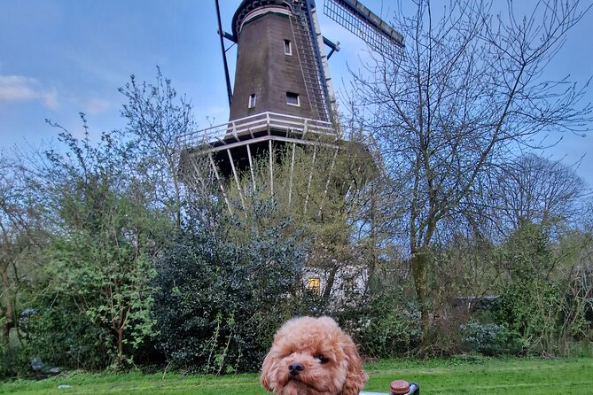 Bill's Bike Tour Amsterdam - Culture, Liberalism & Tolerance - Prinseneiland and Haarlemmerpoort: old borders meet canal-town life