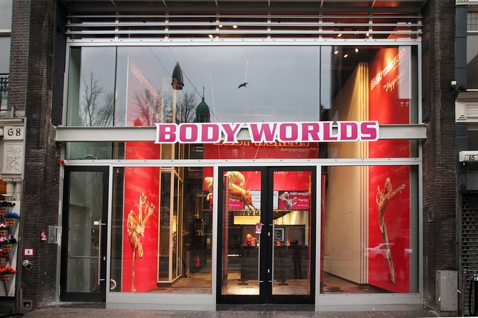 Body Worlds Amsterdam Admission Ticket - Is it for you? Age fit, comfort level, and who will enjoy it most