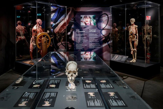 Body Worlds Amsterdam Admission Ticket - Your main stop: the Happiness Project exhibition