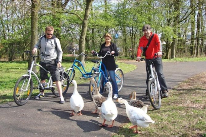 Cheese, Canals & Windmill Countryside E-Bike Tour Amsterdam - What makes the stops feel different: not just photos, but meaning