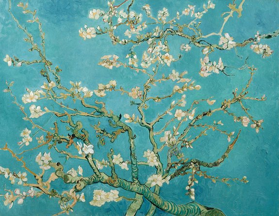 Combo Ticket: Van Gogh Museum Ticket and 1-Hour Canal Cruise - Van Gogh Museum Timed Entry: Skipping the Crowd Crunch