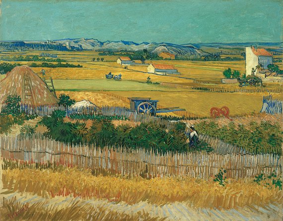 Combo Ticket: Van Gogh Museum Ticket and 1-Hour Canal Cruise - Booking Your Canal Cruise: Pick the Dock That Works for You