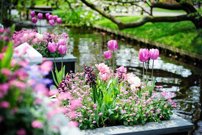 Day Trip to Keukenhof Gardens from Amsterdam with Tour Guide - Inside Keukenhof: Oranje Nassau and the Carolus Clusius context