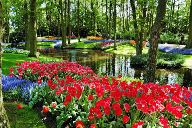 Day Trip to Keukenhof Gardens from Amsterdam with Tour Guide - Price and value: what you’re paying for at $71.20