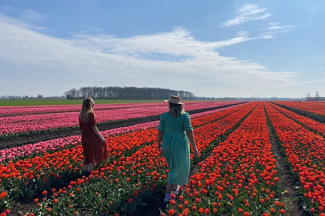Discover Holland’s Beautiful Tulip Fields with an Expert Guide - Price and Value: Is $163.27 a Good Deal?