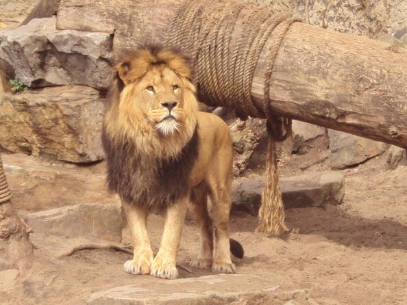 E-Bike Tour, Amsterdam's Highlights and Hidden Gems - Artis Zoo and Entrepotdok: time permitting, wildlife across the water