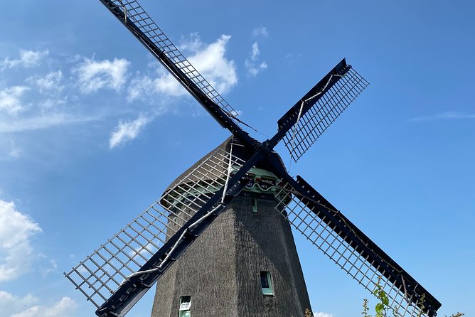 Escape Amsterdam: E-Bike to Zaanse Schans Windmills & Zaandam - The Zaanse Schans window: why the timing is perfect for real browsing