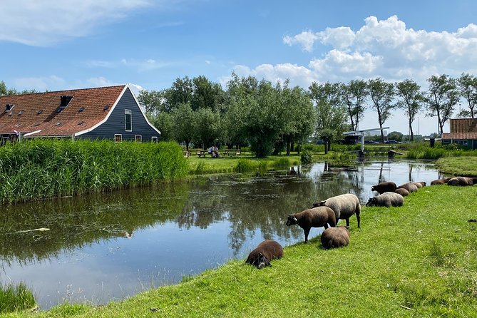 Escape Amsterdam: E-Bike to Zaanse Schans Windmills & Zaandam - Getting out of the city: what the first ride feels like