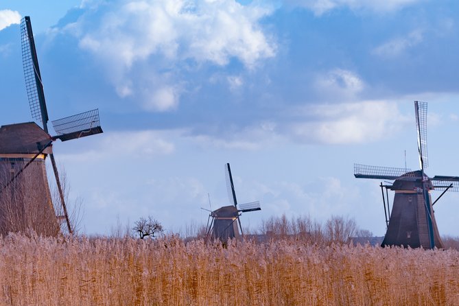 Famous Holland Tour: visit The Hague, Delft, Rotterdam and Kinderdijk from A'dam - The Hague Binnenhof and Ridderzaal: Dutch democracy you can actually stand inside