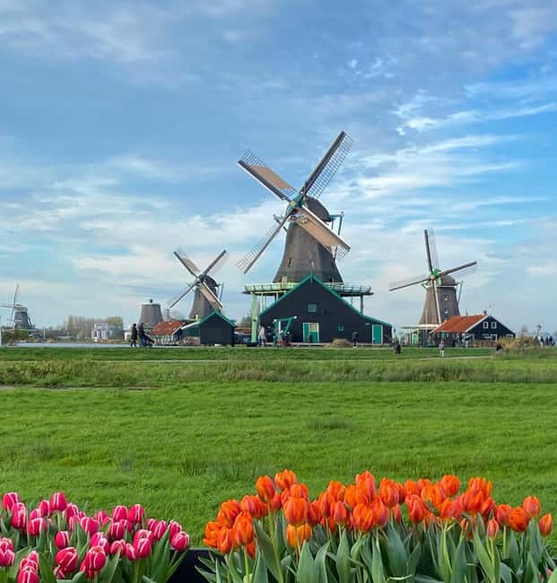 From Amsterdam; Alkmaar Cheese market & Zaanse Schans - How this half-day route from Amsterdam really works