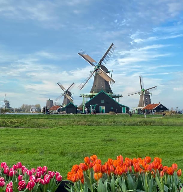 From Amsterdam; Alkmaar Cheese market & Zaanse Schans - Lunch, shopping, and where to spend your extra minutes