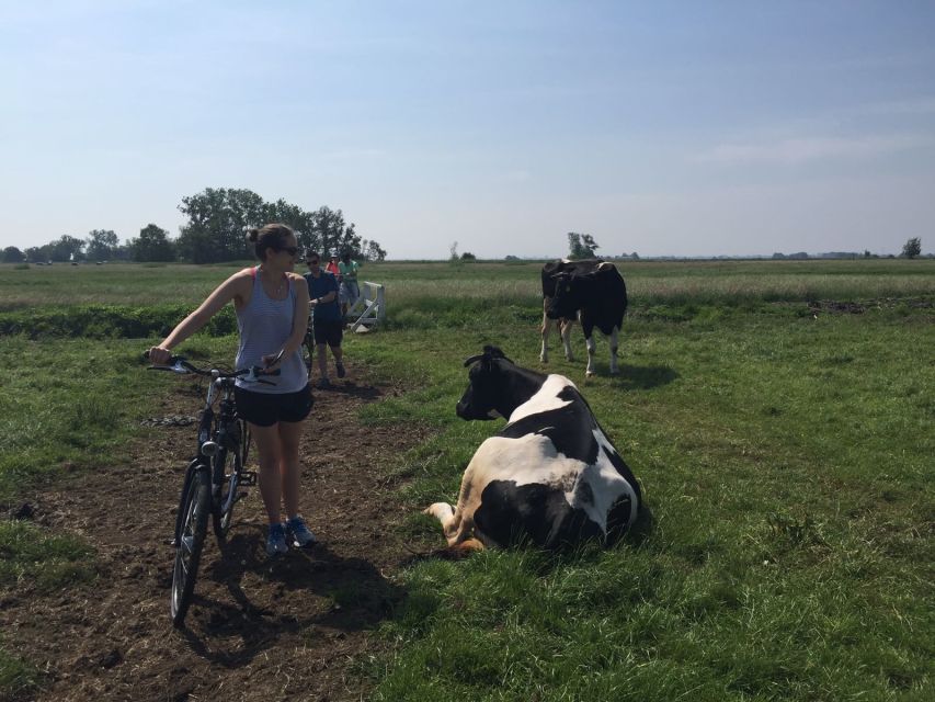 From Amsterdam: Countryside Bike Tour - Fishermen Villages, Farmland, and the Water-Management Story You’ll Remember