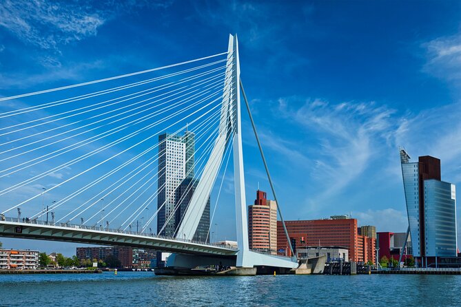 From Amsterdam: Day Trip to Rotterdam, Delft & Hague with Cruise - Where this tour shines (and where it may disappoint)