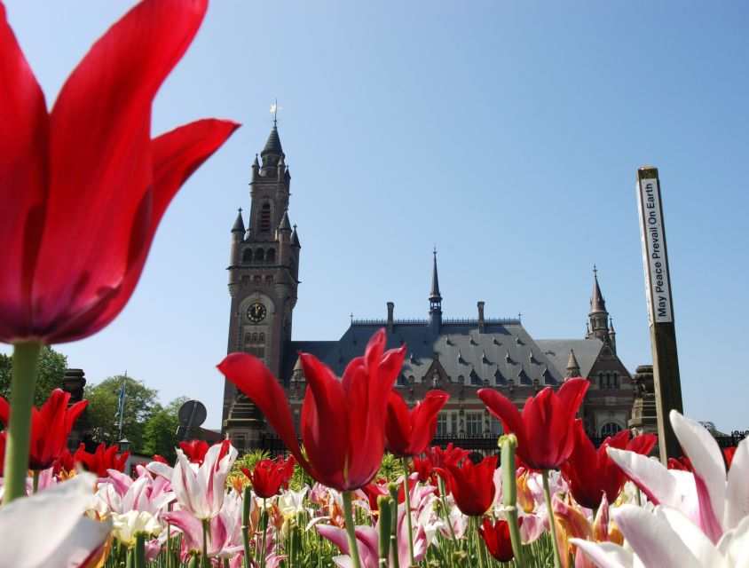 From Amsterdam: Guided Trip to Rotterdam, Delft & The Hague - The ride south to Rotterdam: use the time to prepare