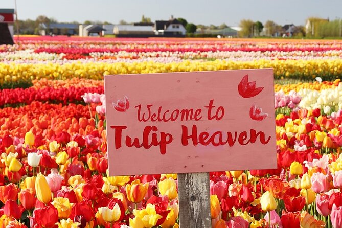 From Amsterdam: Keukenhof and Tulip Experience Tour - Key Highlights You’ll Notice Right Away