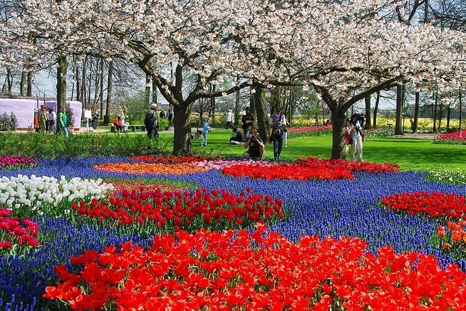 From Amsterdam: Keukenhof Gardens Ticket and Transfer - Skip-the-Line Keukenhof: making your 3 hours count