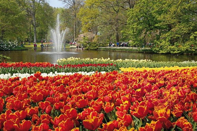 From Amsterdam: Keukenhof Gardens Ticket and Transfer - Price and value: what $41.51 buys you (and what to compare)