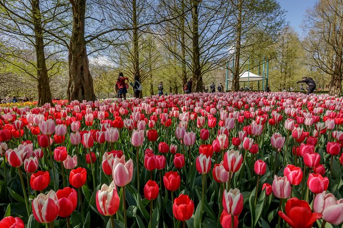 From Amsterdam: Keukenhof Gardens Ticket and Transfer - Should you book this Keukenhof from Amsterdam with transfer?
