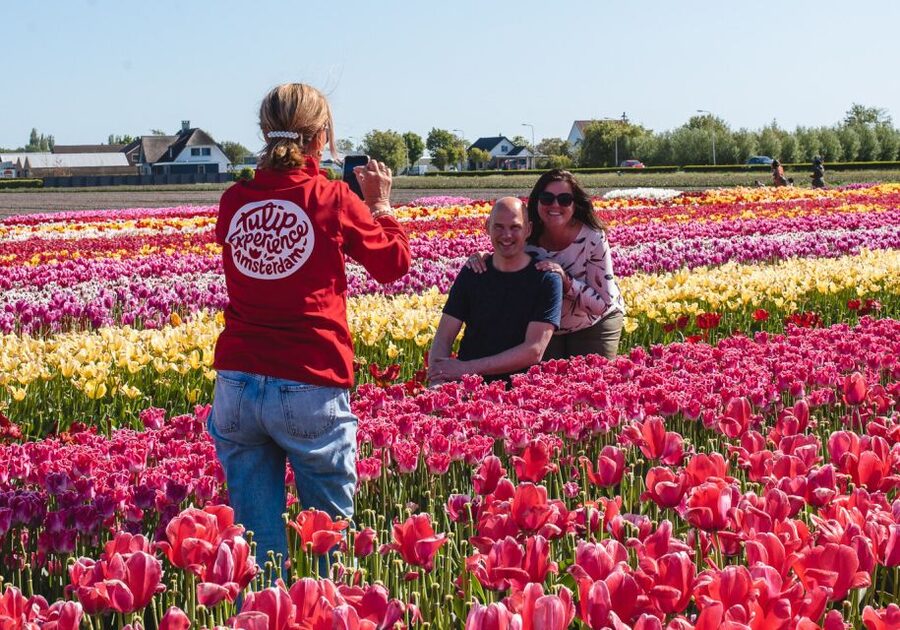 From Amsterdam: Keukenhof Gardens & Tulip Experience Tour - Should you book this Keukenhof day trip?