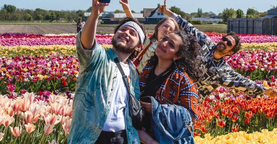 From Amsterdam: Keukenhof Gardens & Tulip Experience Tour - Tulip Experience Amsterdam: the museum that makes Keukenhof make more sense