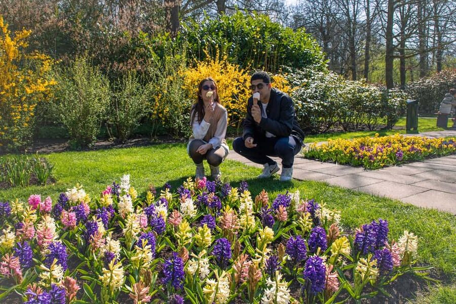From Amsterdam: Keukenhof Ticket with Transfer - Price and value: why $41 can be a smart buy from Amsterdam