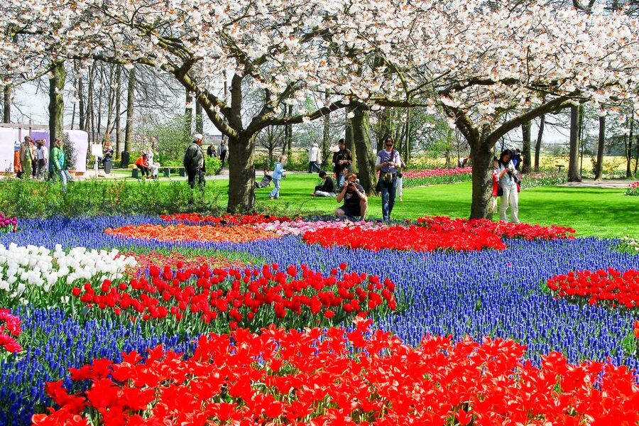 From Amsterdam: Keukenhof Ticket with Transfer - Food, breaks, and what to bring for a 5-hour spring sprint