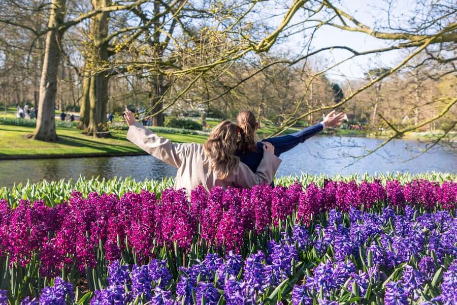 From Amsterdam: Keukenhof Ticket with Transfer - The bus ride from Amsterdam Central that actually respects your time