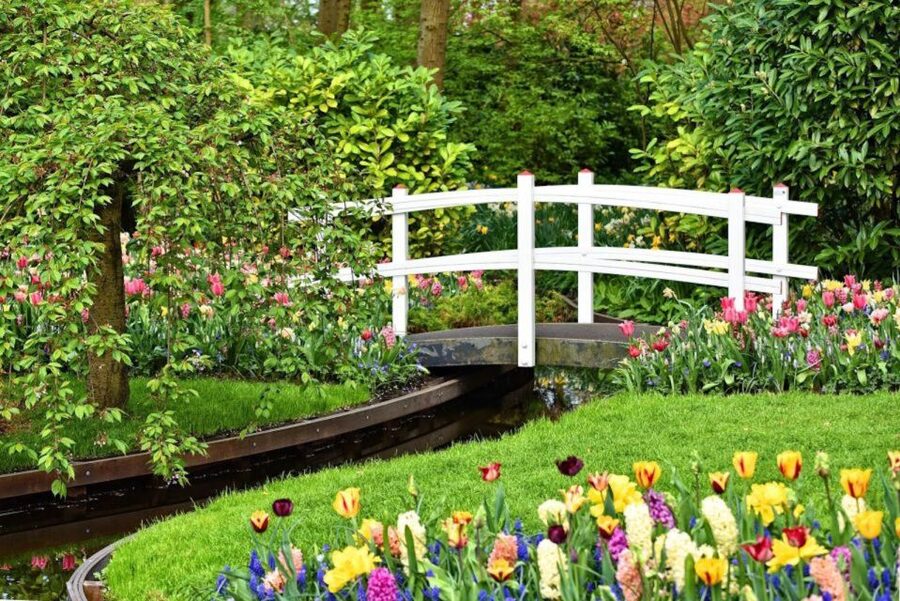 From Amsterdam: Private Keukenhof and Tulip Experience Tour - Tulip Experience Amsterdam: museum context plus hands-on bulb-field fun