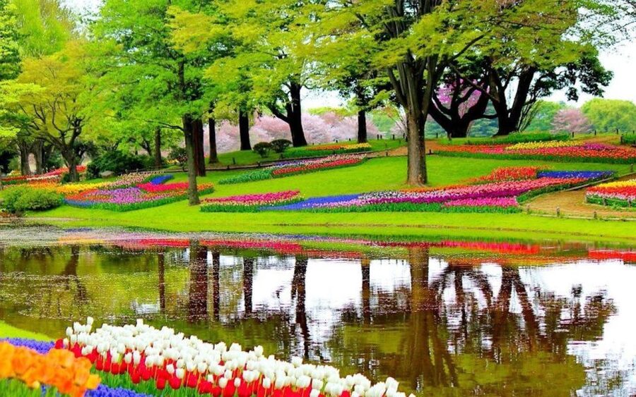 From Amsterdam: Private Keukenhof and Tulip Experience Tour - Who this tour suits best