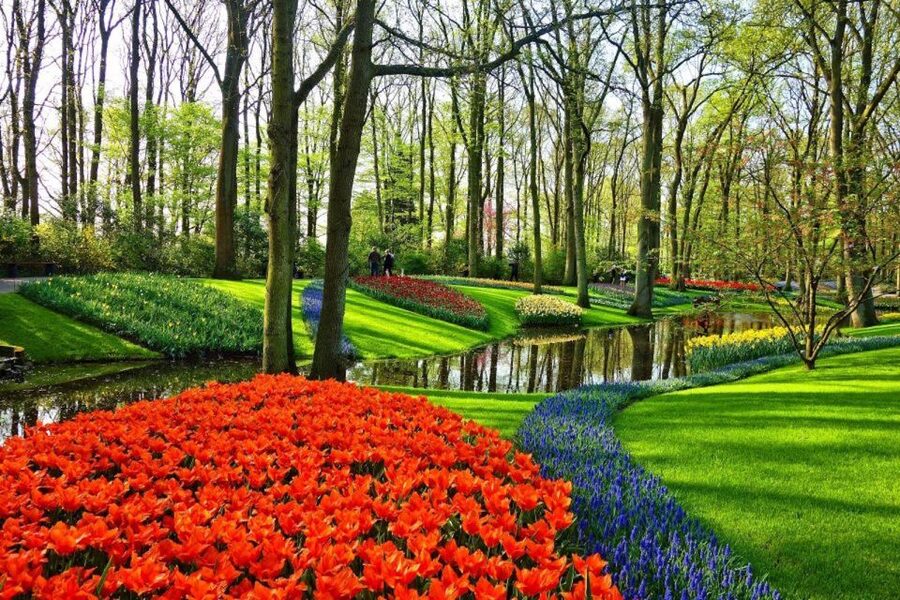 From Amsterdam: Private Keukenhof and Tulip Experience Tour - Tips to get the most from your Keukenhof + Tulip Experience day