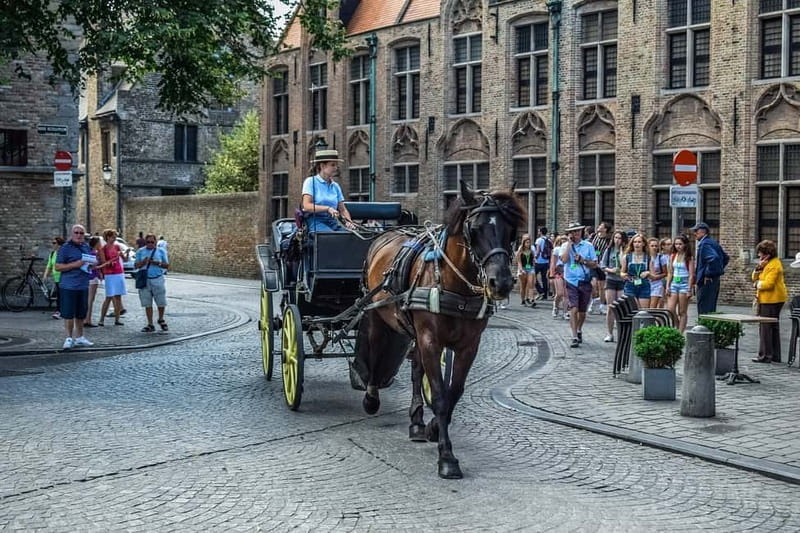 From Amsterdam: Private Sightseeing Tour to Bruges - Door-to-door comfort: Amsterdam pickup and the limo ride