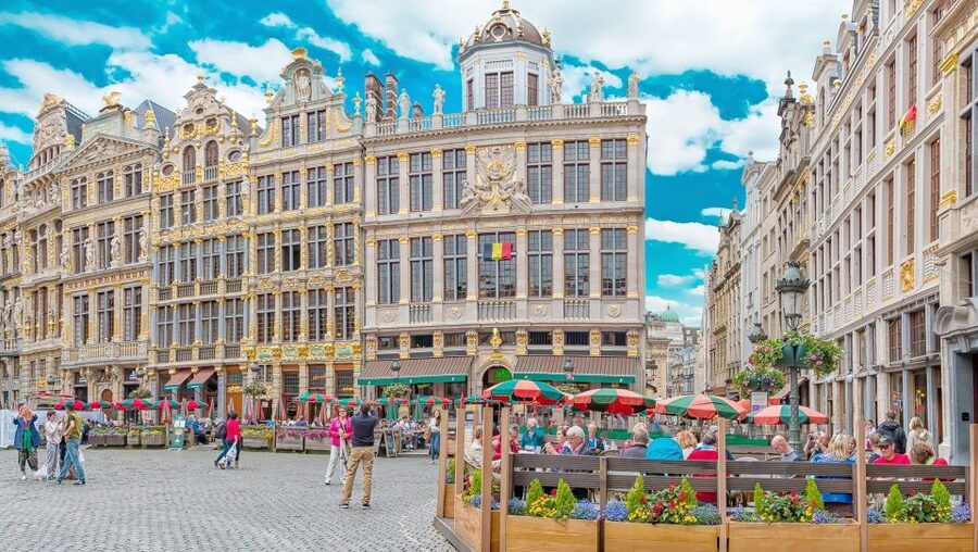 From Amsterdam: Private Sightseeing Tour to Brussels - Atomium and Mini Europe: Big Landmark Energy, Tight Time Reality