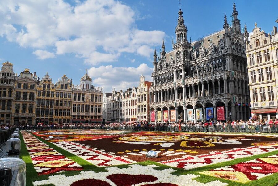 From Amsterdam: Private Sightseeing Tour to Brussels - Royal Palace Area: A Polished Stop with Useful Walking Time