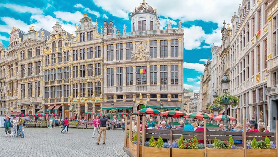 From Amsterdam: Private Sightseeing Trip to Brussels - A door-to-door ride that keeps Brussels stress low