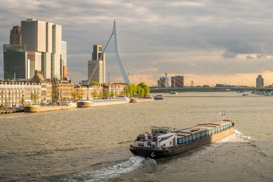 From Amsterdam: Rotterdam and The Hague Tour in Spanish - Mauritshuis and the Peace Palace: Art Meets International Law