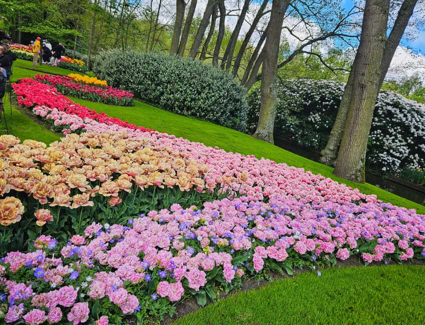 From Amsterdam: Small Group Keukenhof & City Tour Delft - Delft’s canal-city stops: how you see the medieval core