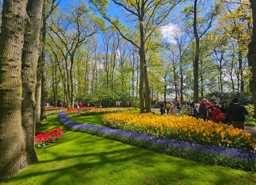From Amsterdam: Small Group Keukenhof & City Tour Delft - Transportation, pacing, and the walking you should expect