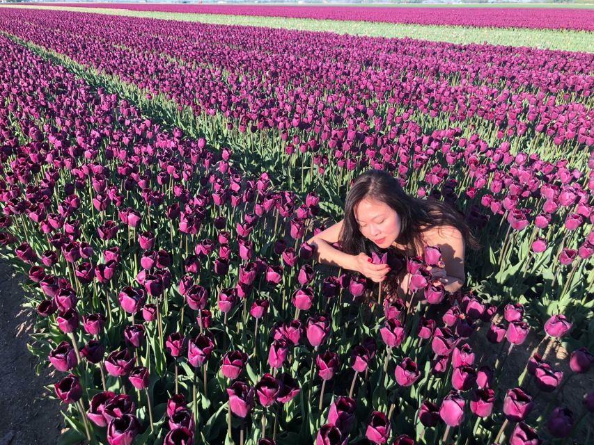 From Amsterdam: Small Group Keukenhof & City Tour Delft - Where your time goes in the day (so you can plan your expectations)