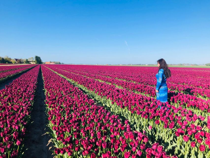 From Amsterdam: Small Group Keukenhof & City Tour Delft - Keukenhof Gardens: the guided highlight walk (and why it matters)